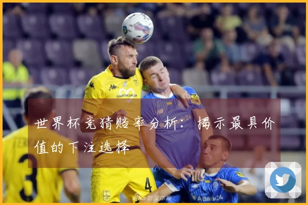 世界杯竞猜赔率分析：揭示最具价值的下注选择