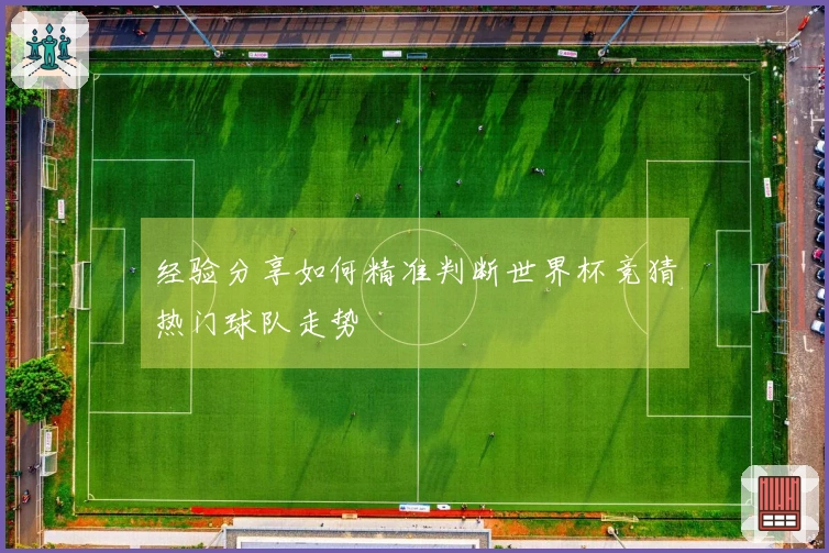 经验分享如何精准判断世界杯竞猜热门球队走势