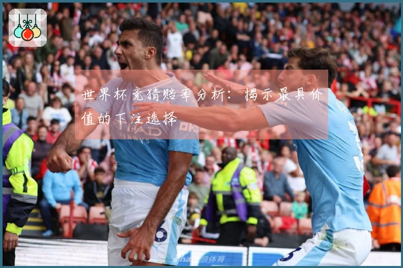 世界杯竞猜赔率分析：揭示最具价值的下注选择